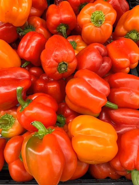 Tomate Italiano (kg)